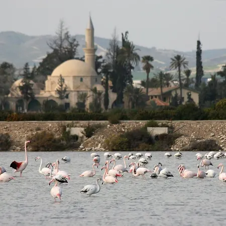 Appartamento Camilla Larnaca