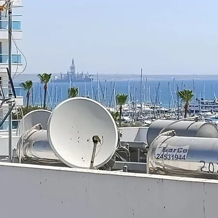 Camilla Larnaca