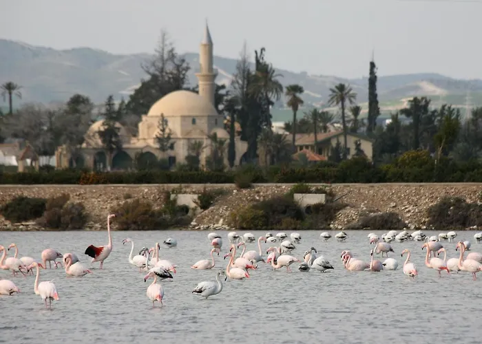 Lejlighed Camilla Larnaca